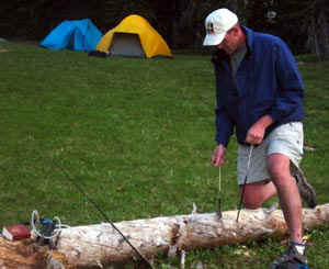 uintdsaw.jpg (24097 bytes)