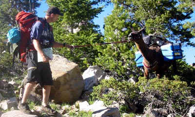 uintjllamatug.jpg (49383 bytes)