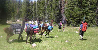 uintlvcmp.jpg (31914 bytes)