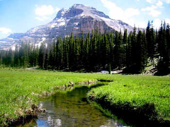 uintmdwx.jpg (34095 bytes)