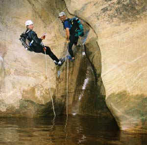 zn-adrap.jpg (21828 bytes)