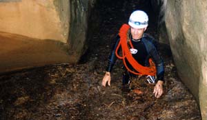 zn-sblklgn.jpg (15026 bytes)