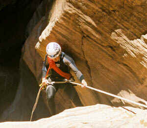 zn-srap.jpg (23899 bytes)