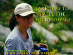 Take Time to Smell the Wildflowers